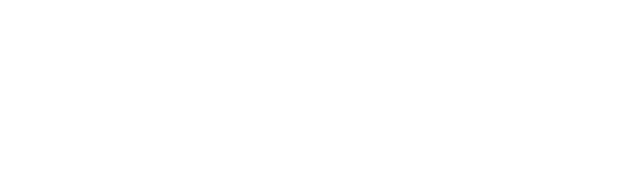 Agneya IT Solutions